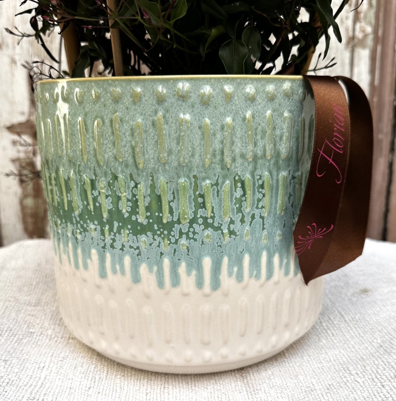 Scented Jasmine Planter Large