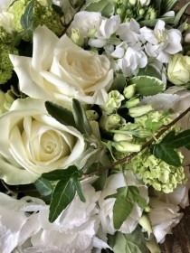 Classic White & Green Posy