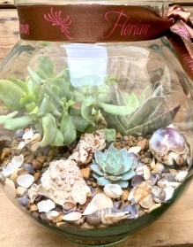 Indoor Succulent Garden