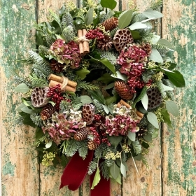 Christmas Wreath Hydrangea
