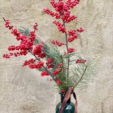 Festive Berry Vase