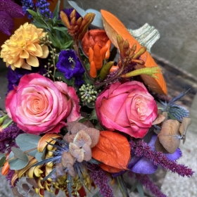 Autumn Filled Pumpkins