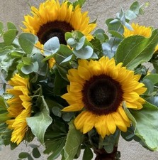 Bouquet of the month