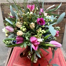 Adelaide Spring Gardens