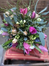 Adelaide Spring Gardens